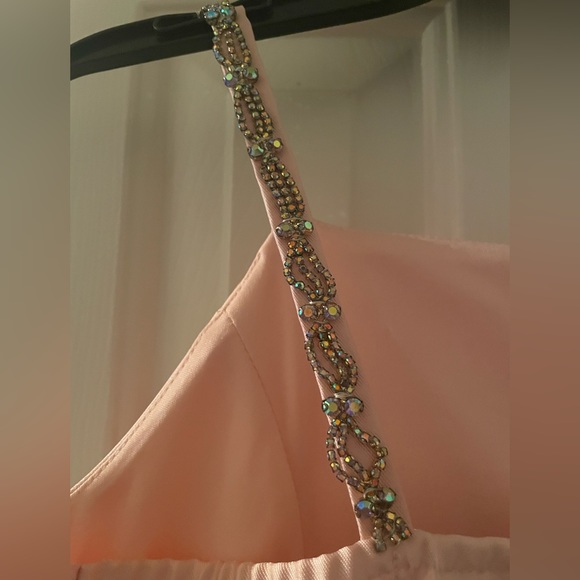 Xtraordinary Big Girls (7-14) Size 10 dress in blush - Picture 7 of 8